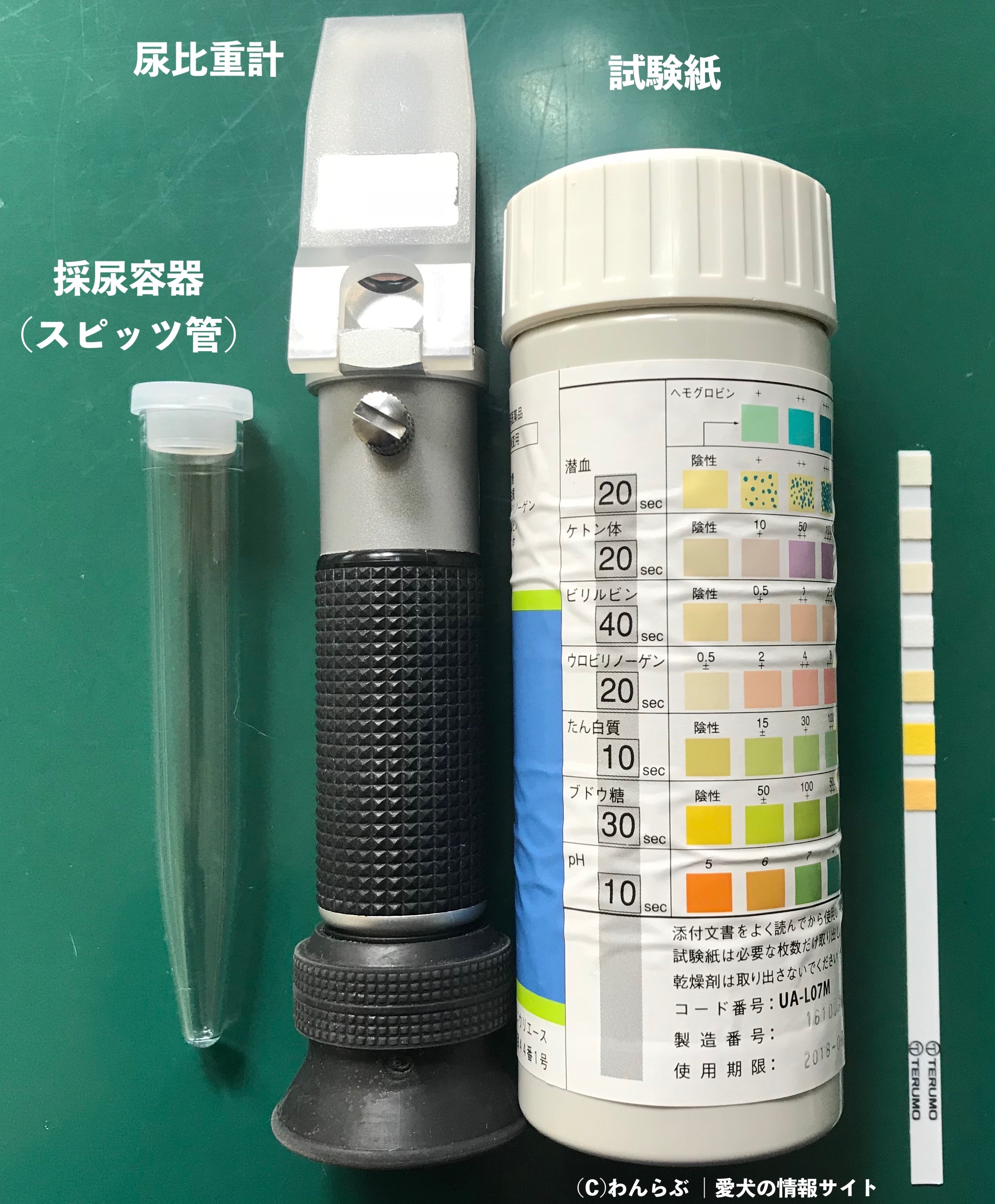 沈殿 検査 尿